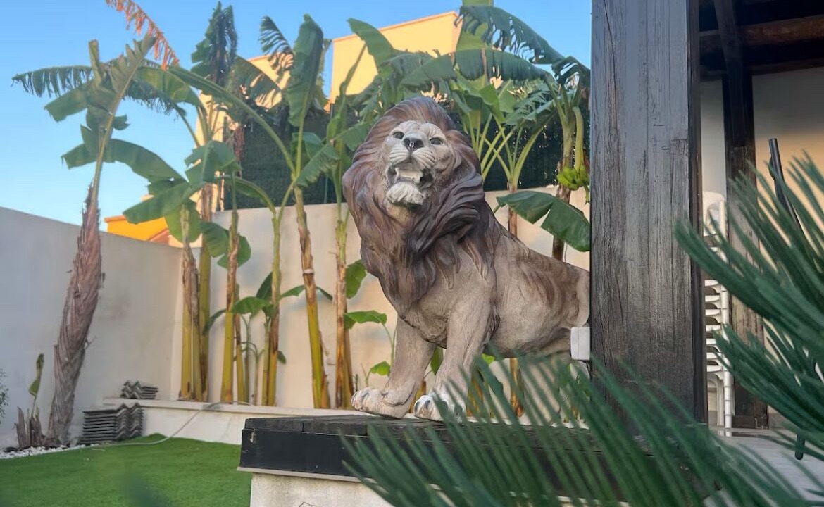 Photo of Outdoor in Los Balcones