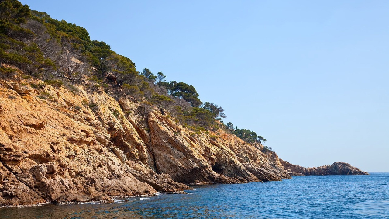 Photo of Others in Tamariu