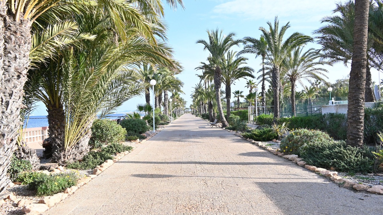 Photo of Outdoor in El Algar