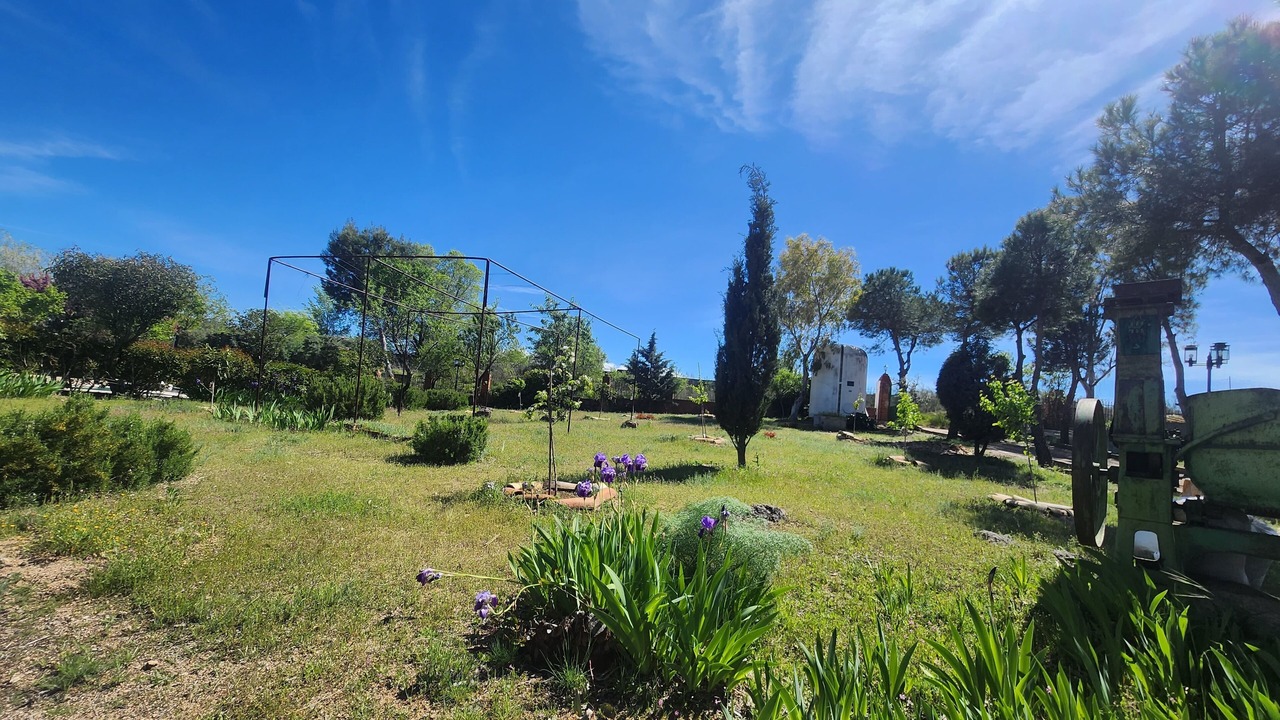 Photo of Outdoor in Toledo