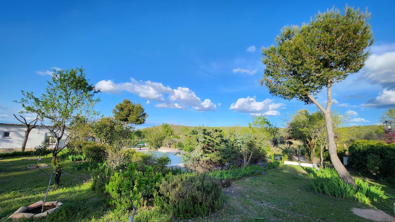 Photo of Outdoor in Toledo