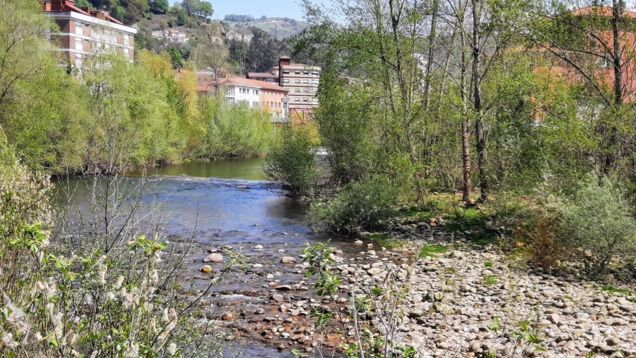 Photo of Others in San Martin del Rey Aurelio