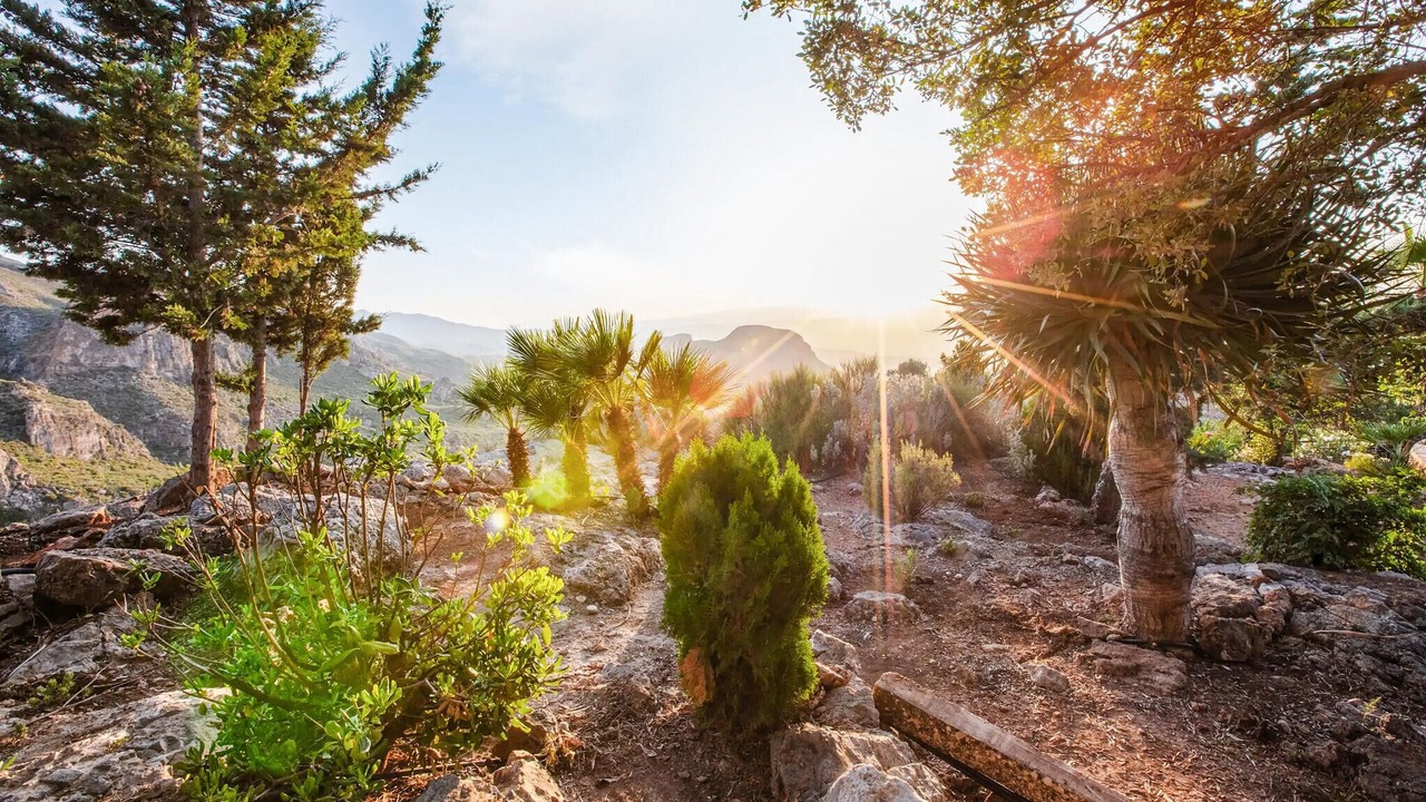Photo of Outdoor in Turre