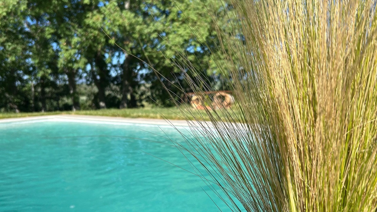 Photo of Outdoor in Duruelo
