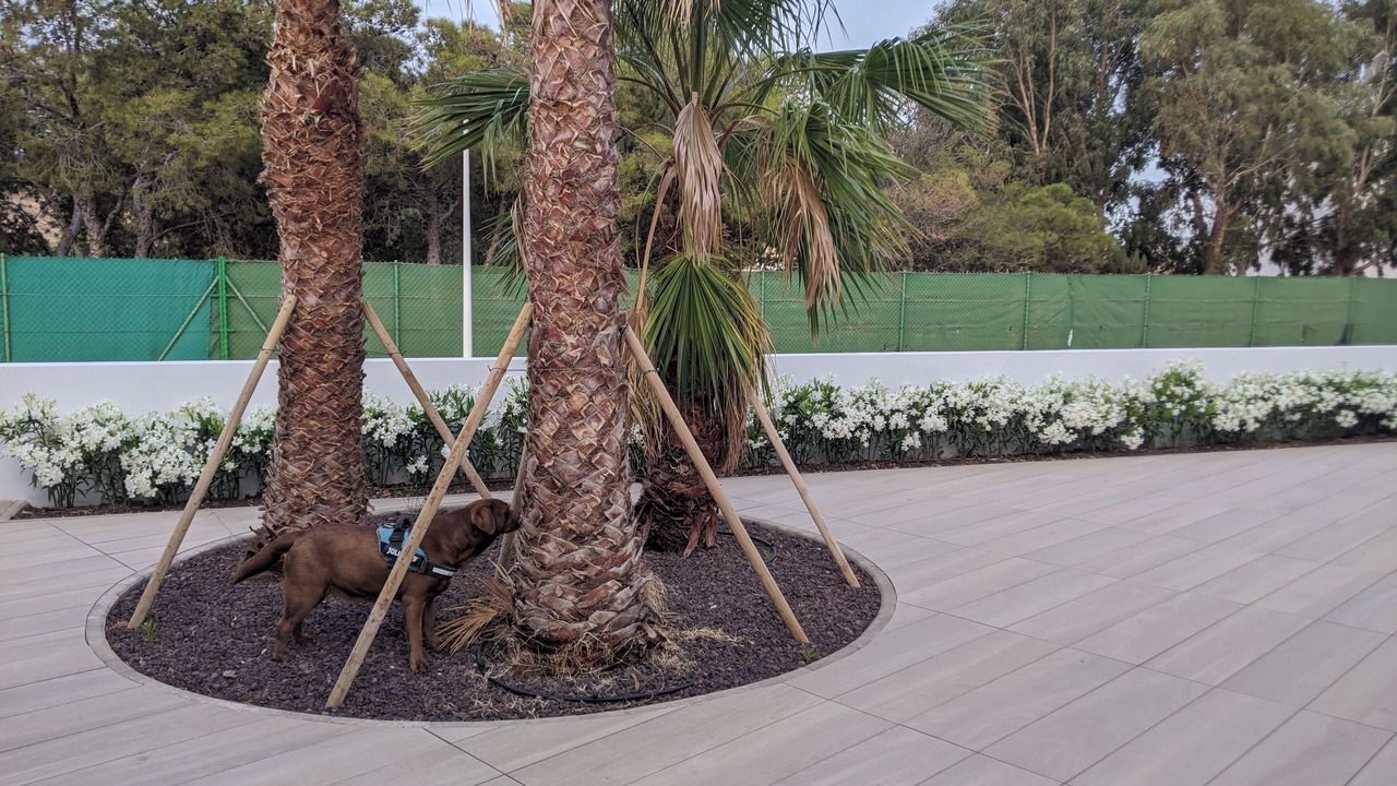 Photo of Outdoor in San Jose