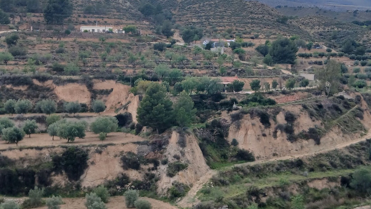 Photo of Others in Jijona
