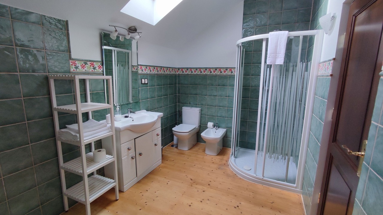 Photo of Bathroom in Laviana