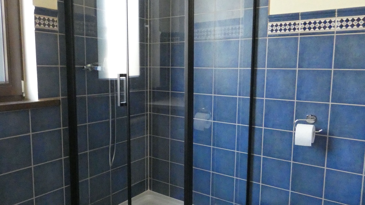 Photo of Bathroom in Laviana