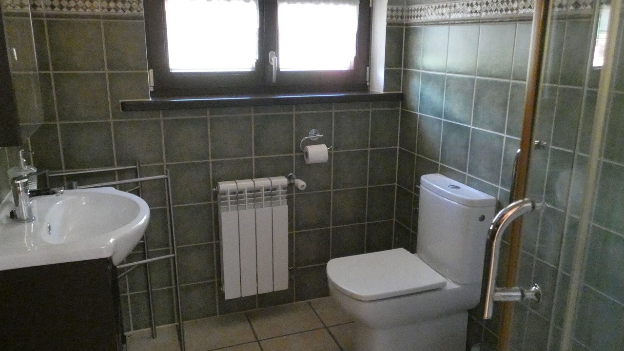 Photo of Bathroom in Laviana