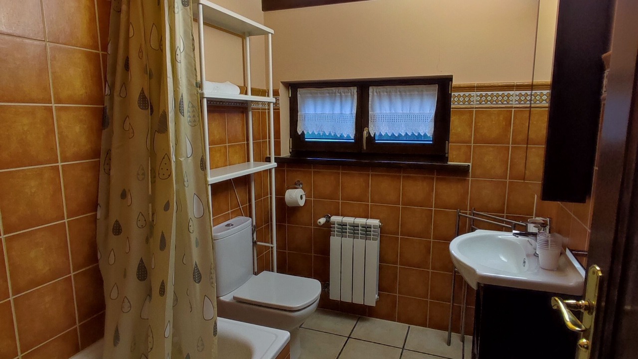Photo of Bathroom in Laviana