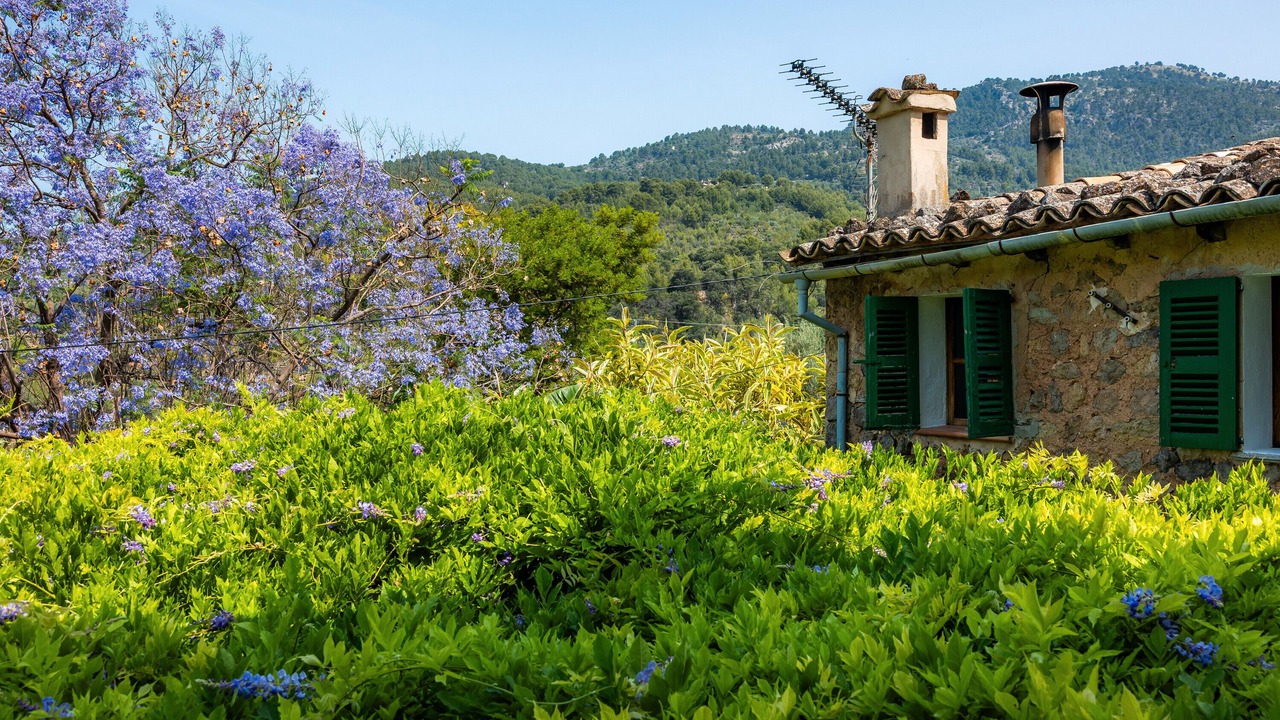 Photo of Outdoor in Biniaraix
