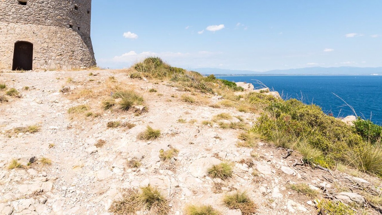 Photo of Others in L'Escala