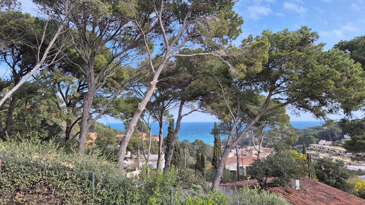 Photo of Others in Sa Riera