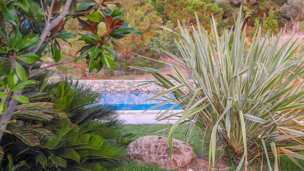 Photo of Outdoor in Valldemossa