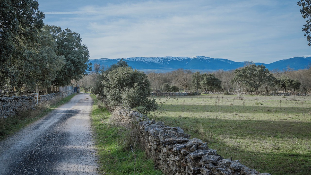 Photo of Others in Pedraza