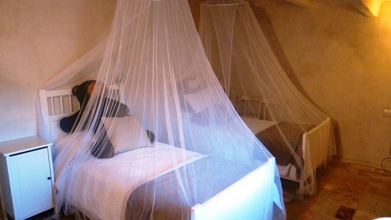 Photo of Bedroom in Riumors