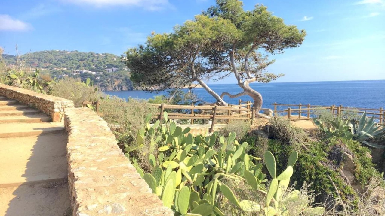 Photo of Others in Llafranc