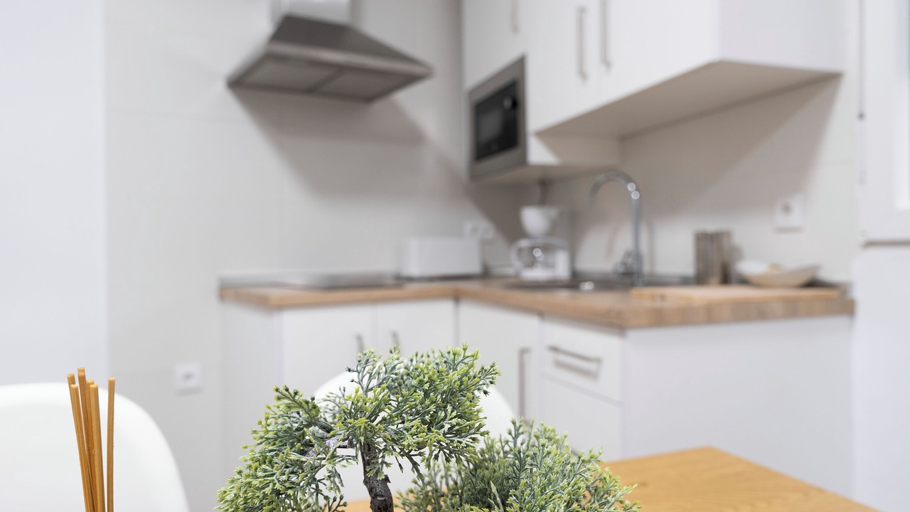 Photo of Kitchen in Andujar