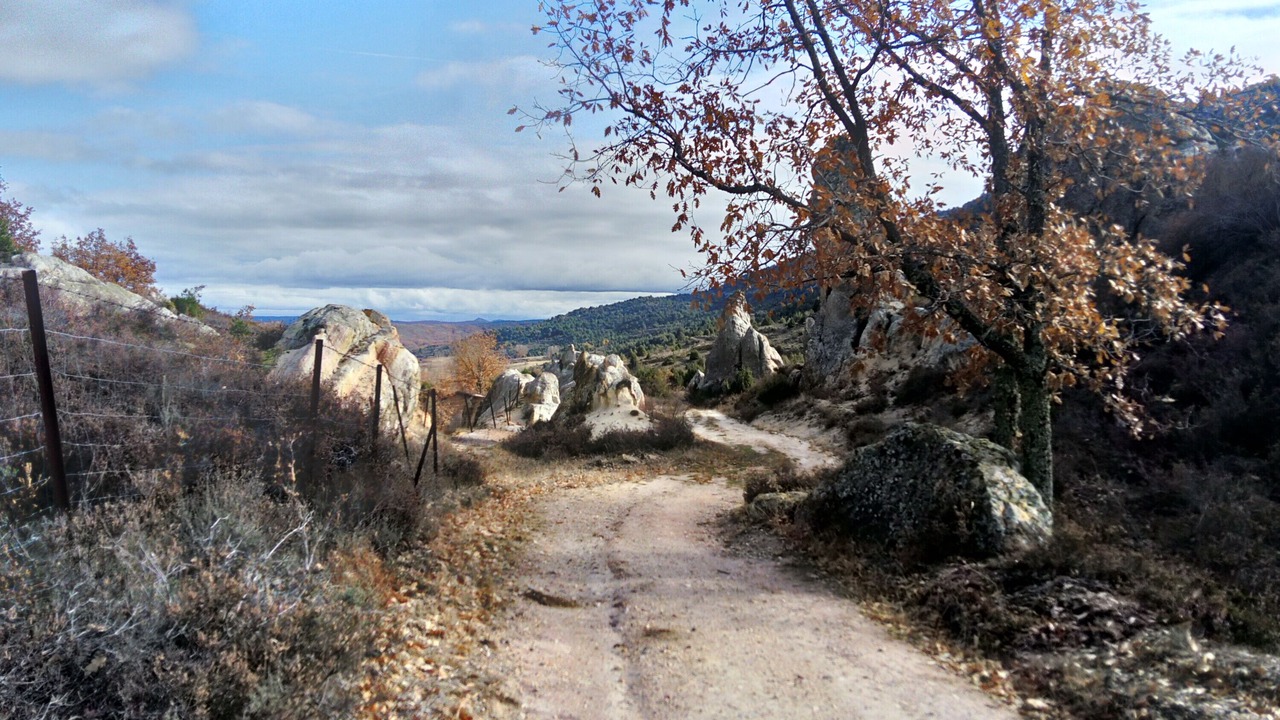 Photo of Others in Pinilla de los Barruecos