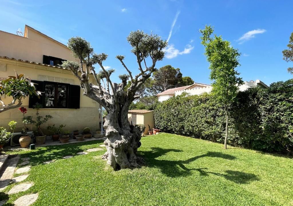 Photo of Outdoor in Son Veri Nou