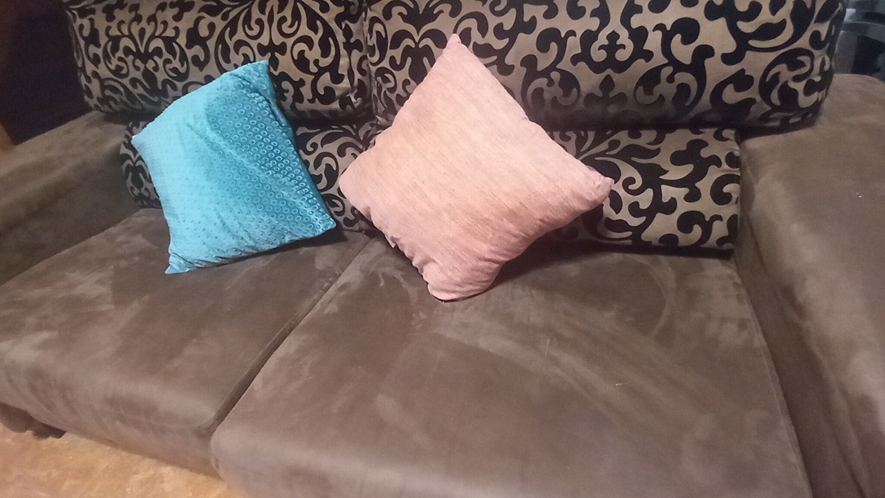 Photo of Livingroom in Poo