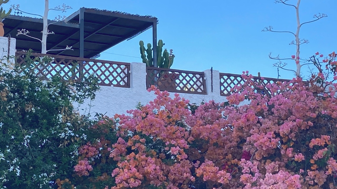 Photo of Outdoor in El Pozo de los Frailes