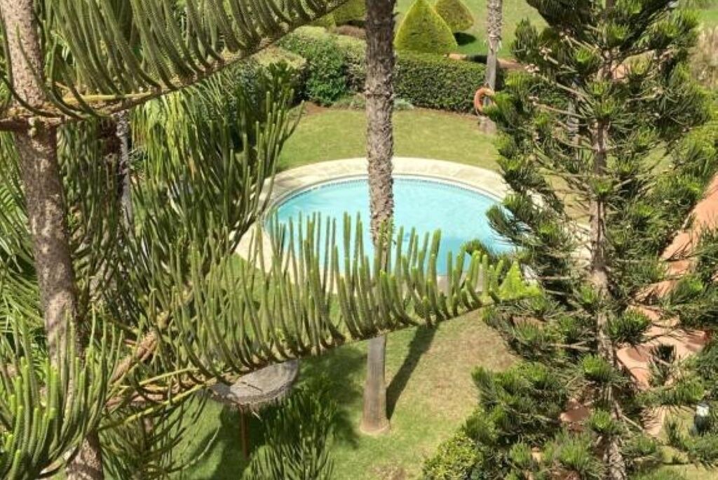 Photo of Outdoor in Roquetas de Mar