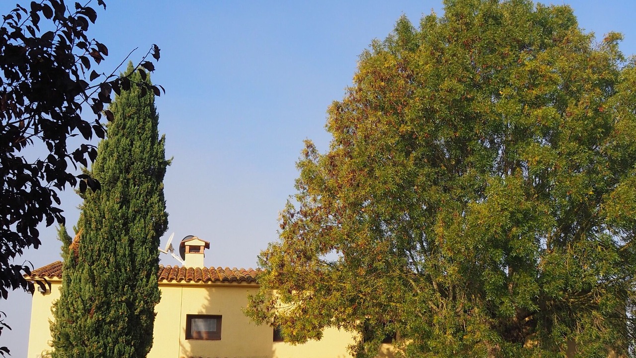 Photo of Outdoor in Caldes de Malavella