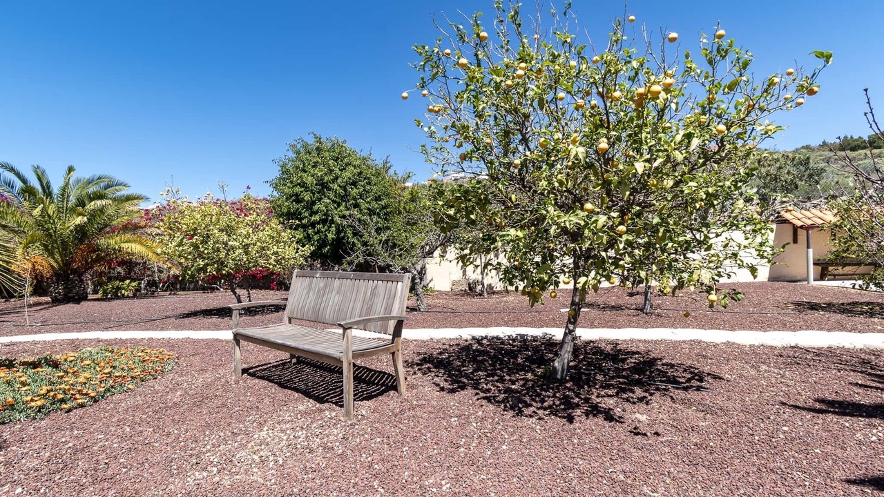 Photo of Outdoor in Granadilla de Abona