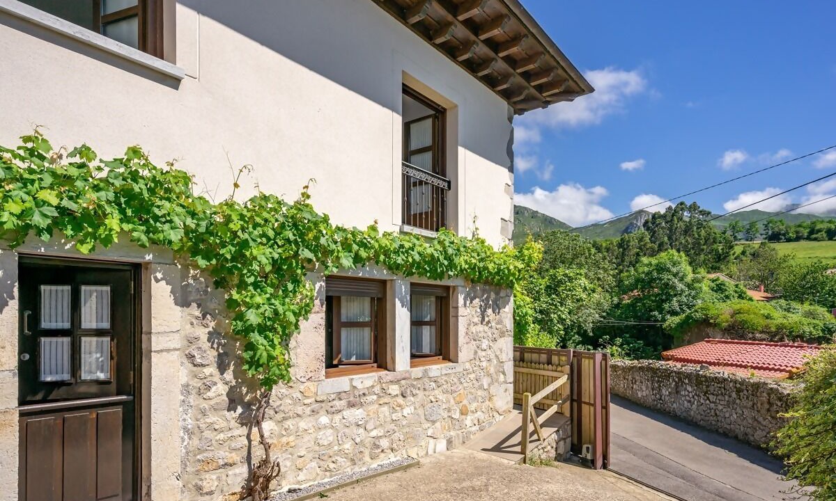 Photo of Outdoor in Ribadesella