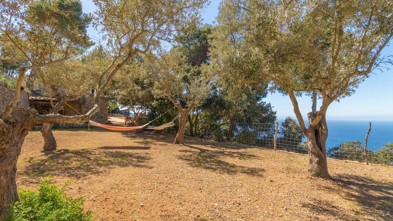 Photo of Outdoor in Valldemossa