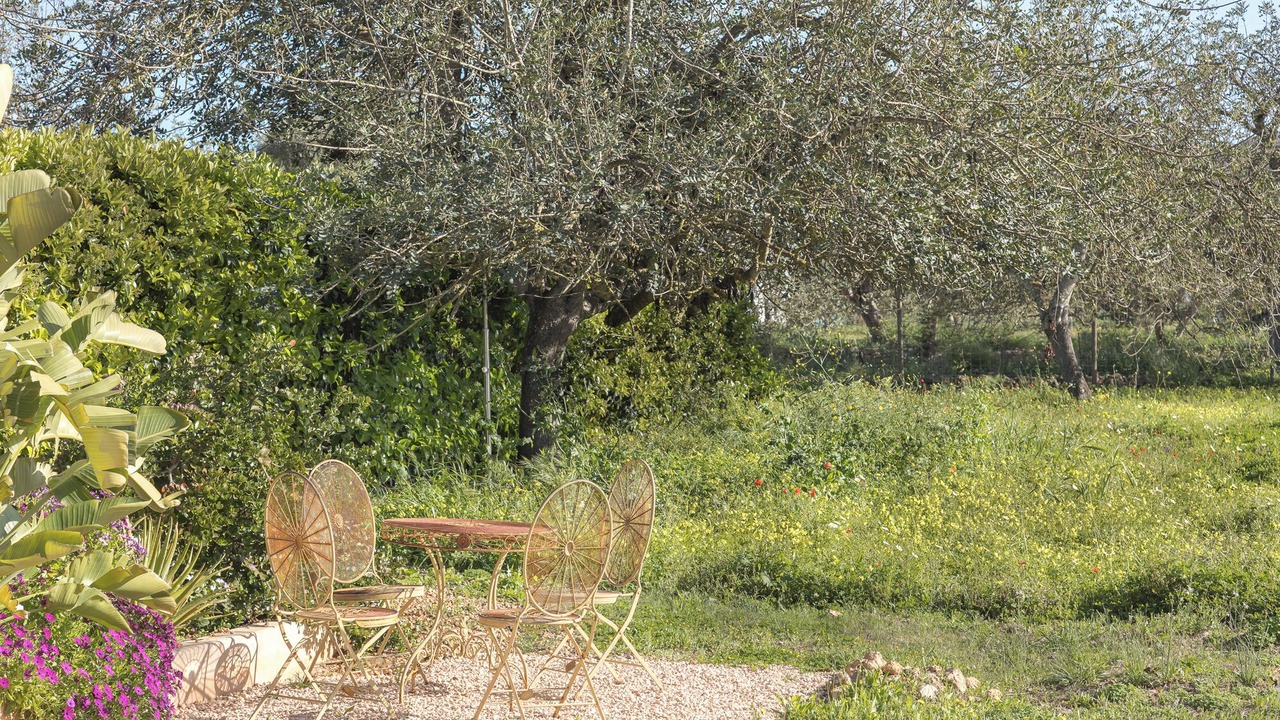 Photo of Outdoor in Sant Rafael de Sa Creu
