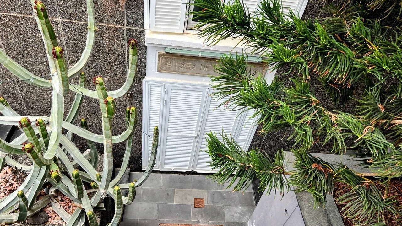 Photo of Outdoor in Arico
