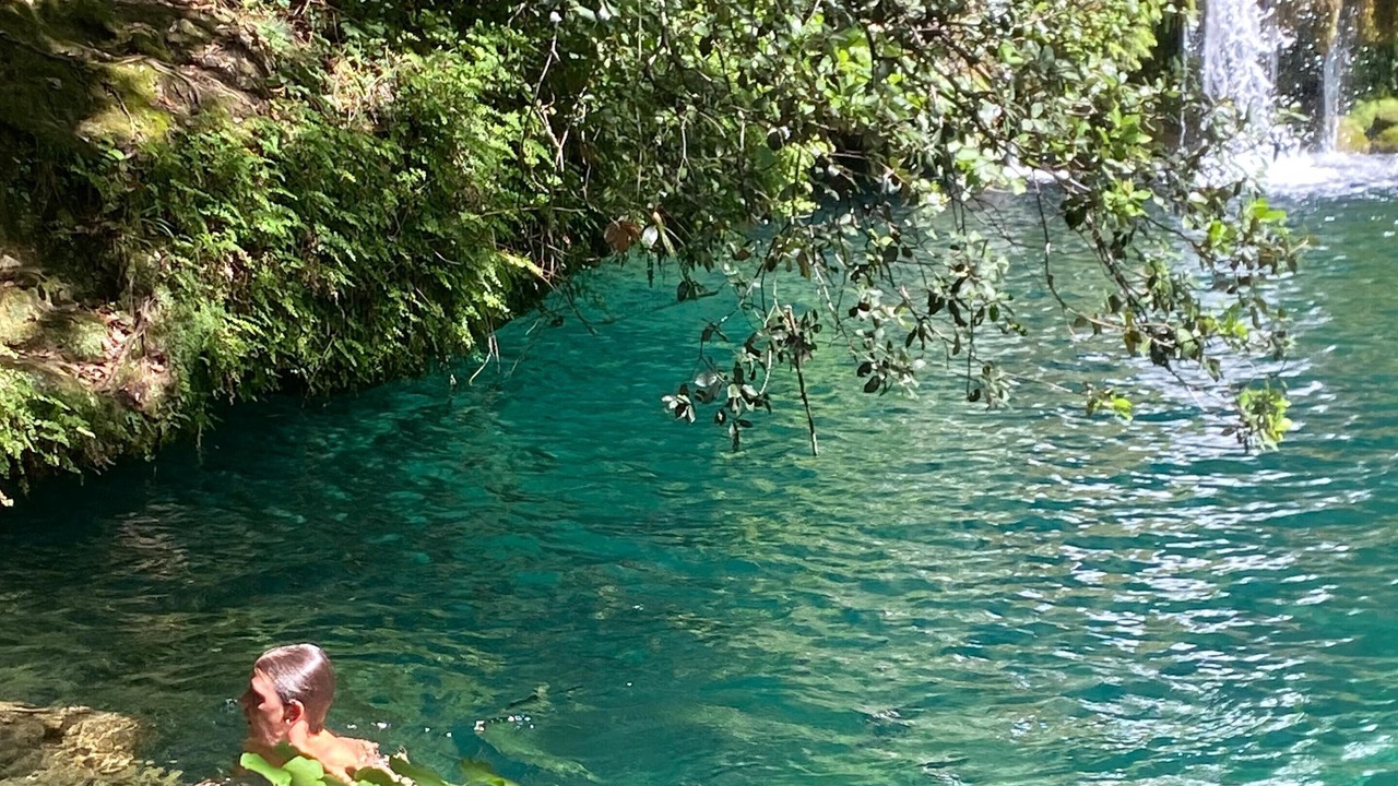 Photo of Others in Tortella