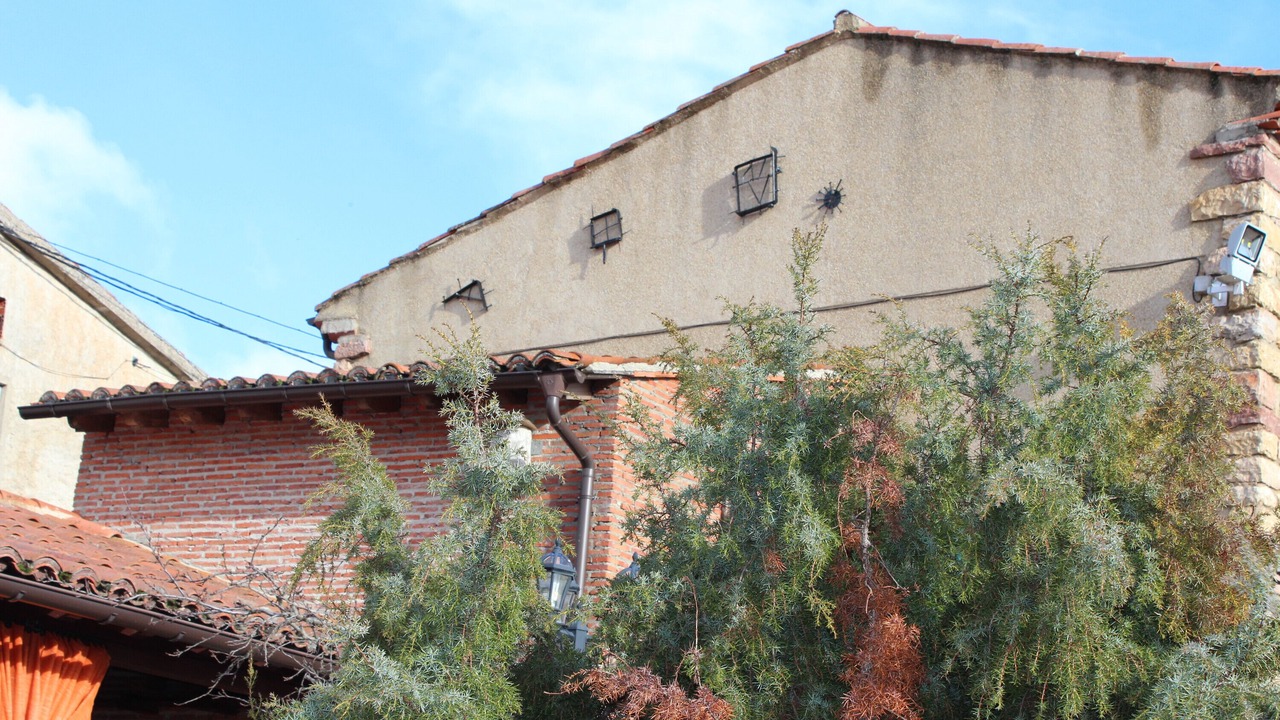 Photo of Others in Espeja de San Marcelino