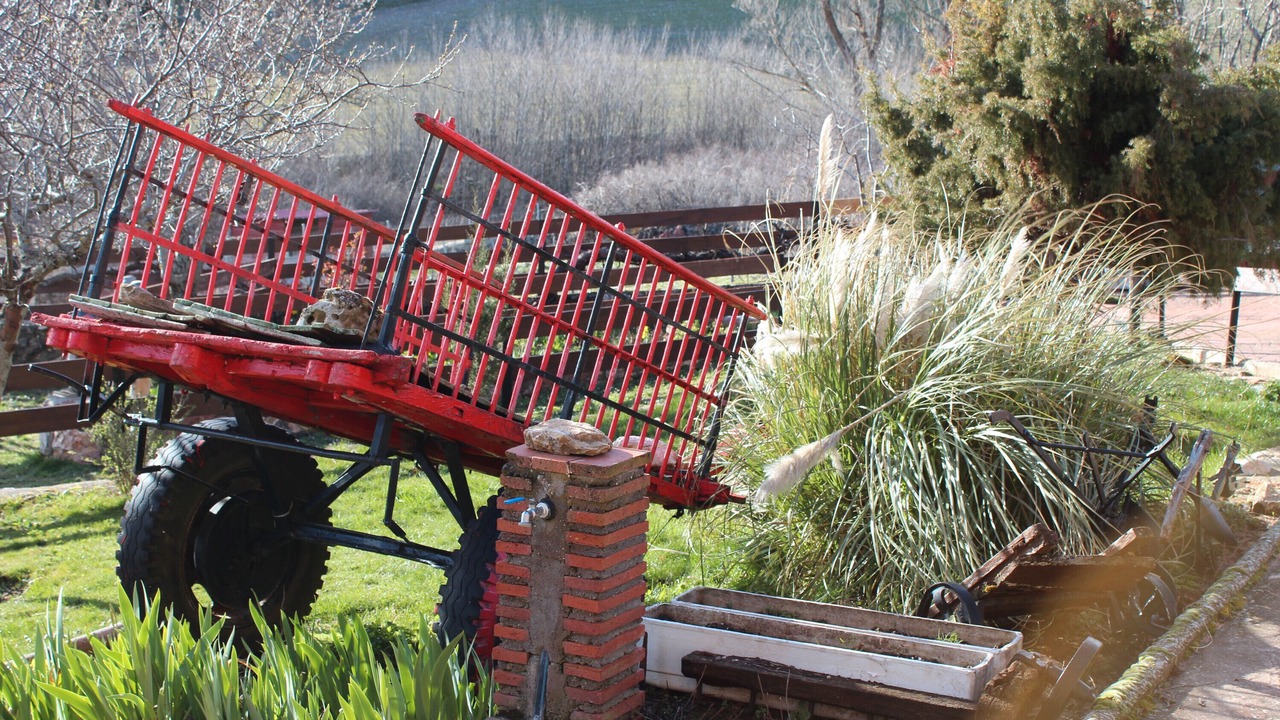 Photo of Outdoor in Espeja de San Marcelino