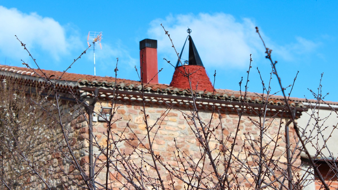 Photo of Outdoor in Espeja de San Marcelino