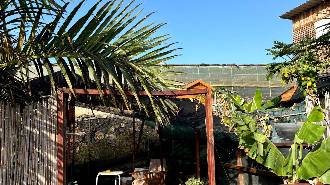 Photo of Patio Balcony in Tejina