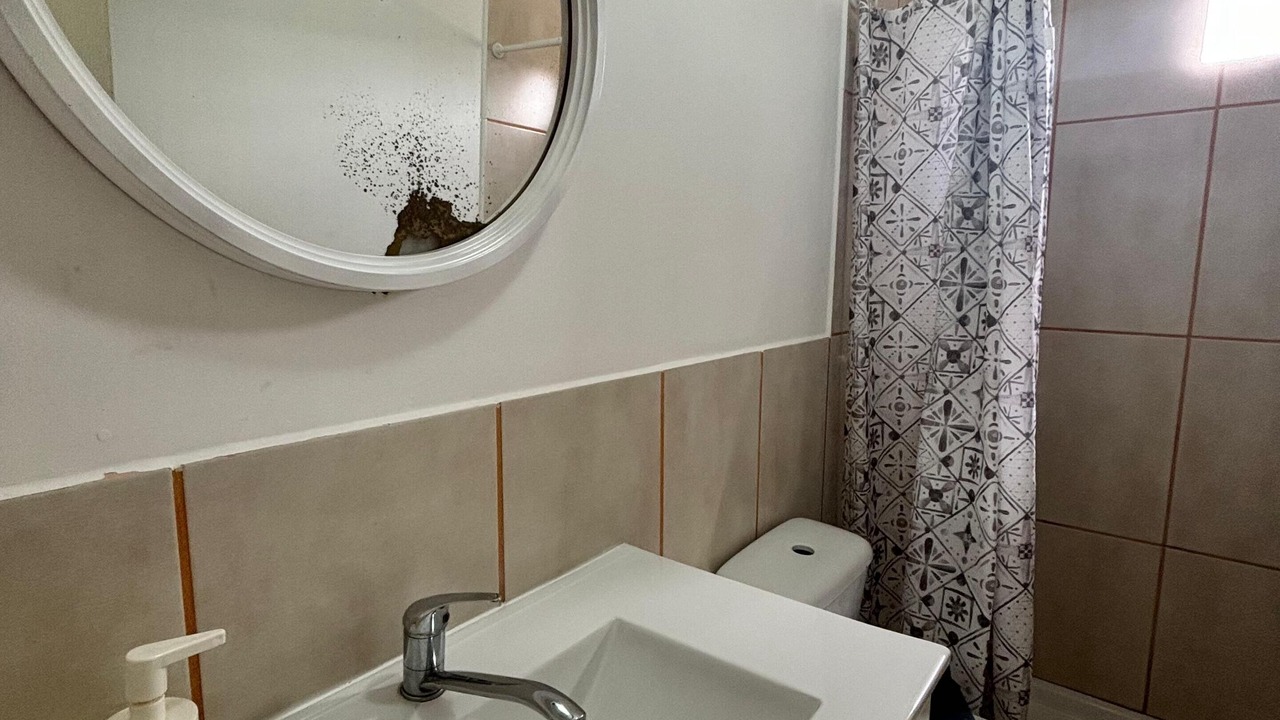 Photo of Bathroom in Tejina