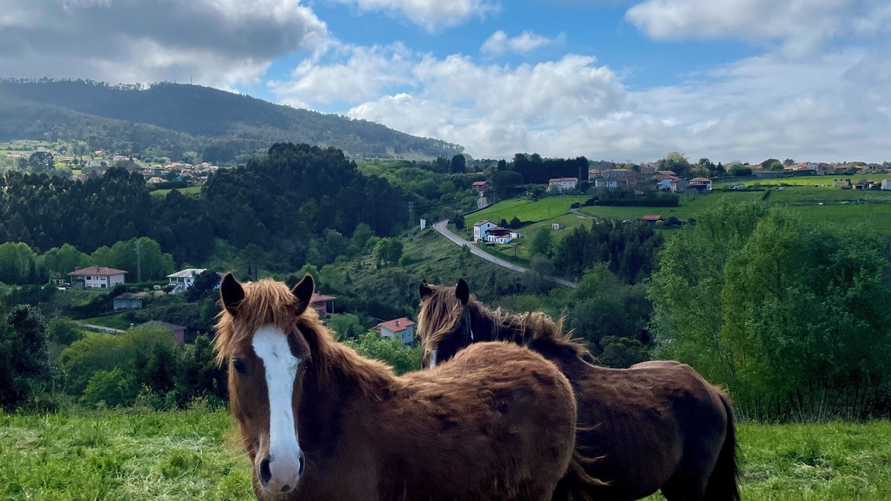 Photo of Others in Cudillero