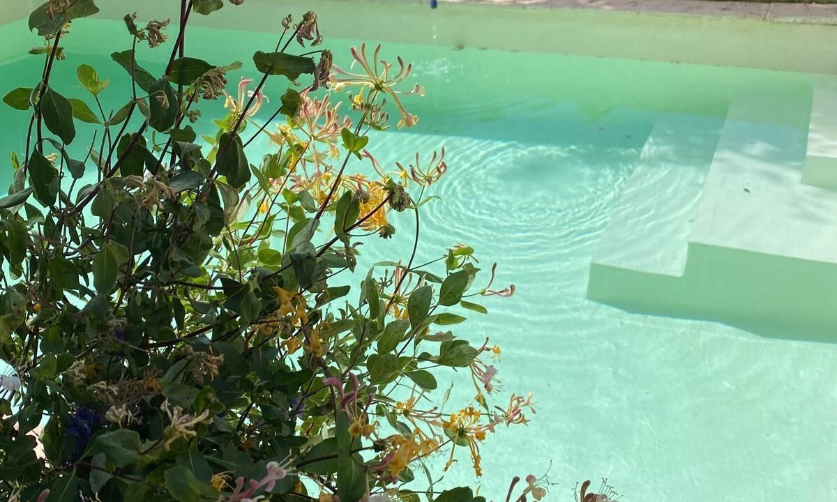 Photo of Outdoor in Puentedura