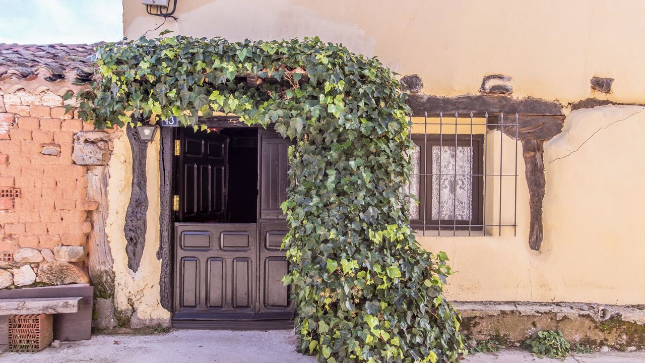 Photo of Outdoor in Puentedura