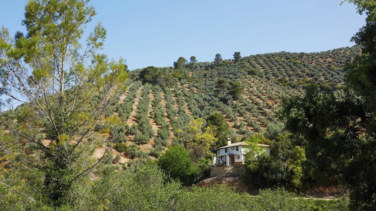 Photo of Outdoor in Villanueva del Arzobispo