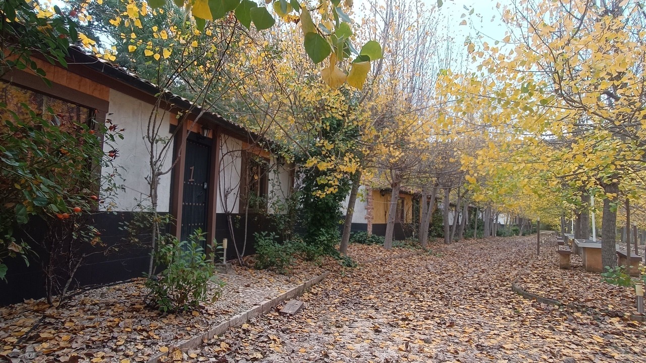 Photo of Outdoor in Yeste