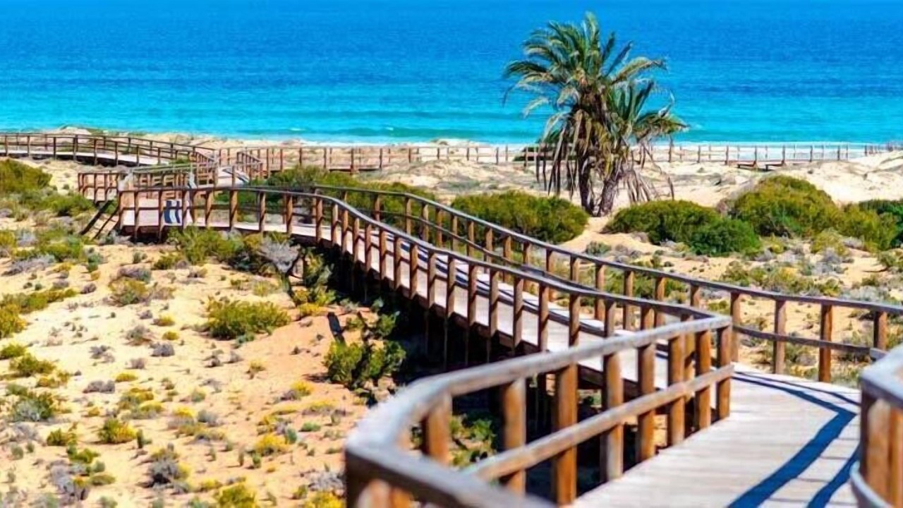 Photo of Others in Els Arenals del Sol