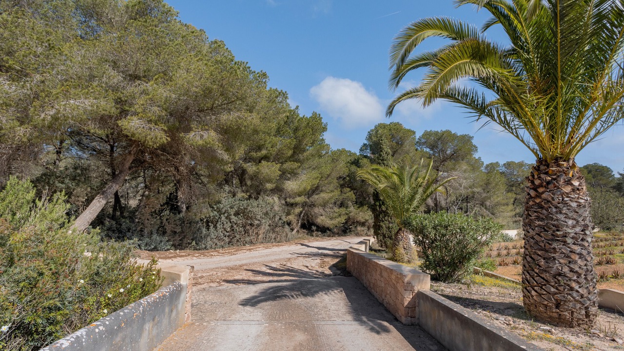Photo of Others in Formentera