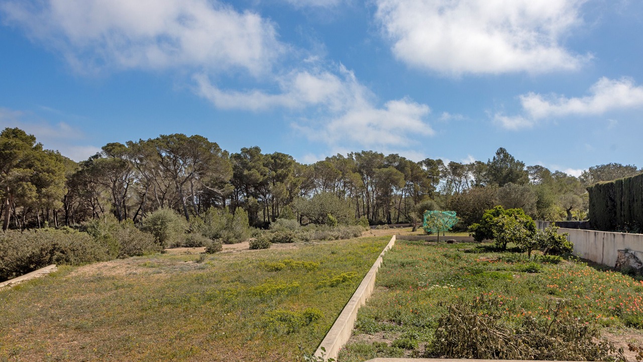 Photo of Outdoor in Formentera