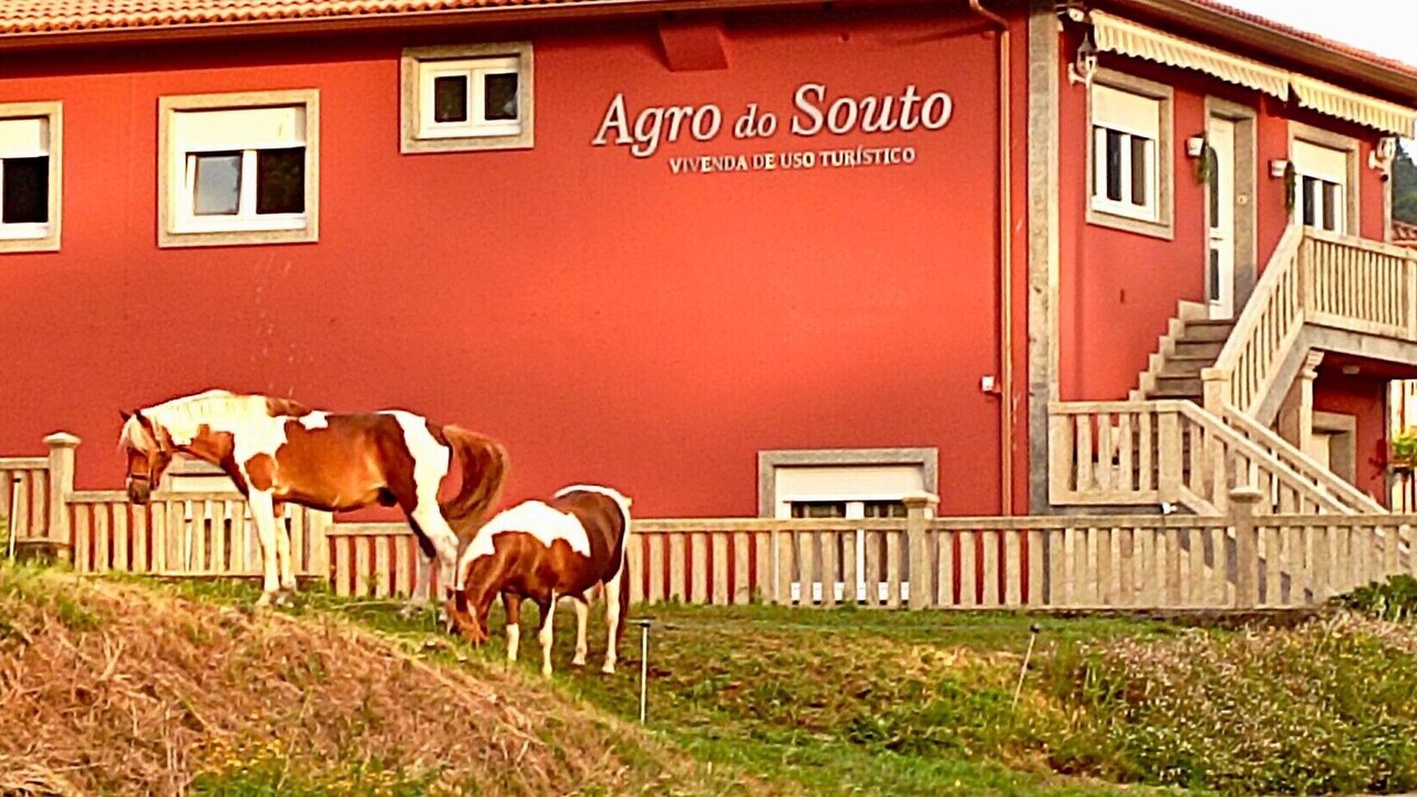 Photo of Others in Noia