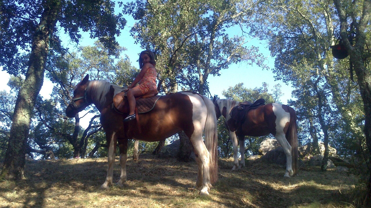 Photo of Others in Noia
