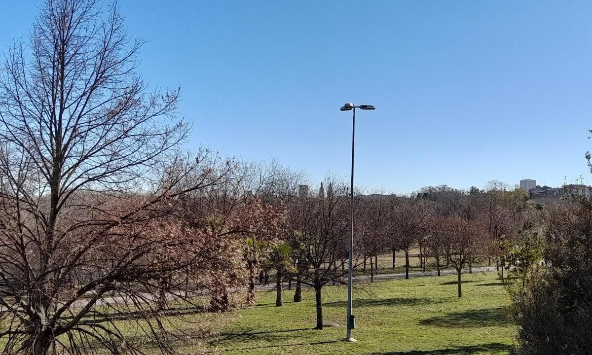 Photo of Others in Logrono